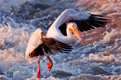 Extra Photo 4 for FP Rural Generalist (Fort Smith, NWT) | Permanent & Locum | Bring a guest!