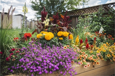 Logo for FP Fort Simpson, Northwest Territories | No Overhead, no FFS | Perm & Locum | Northern lights!