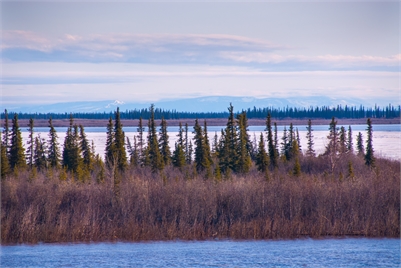 Extra Photo 3 for FP/GP Surgeon w/ Enhanced Surgical Skills (ESS)/Obstetrical Surgical Skills (OSS) (Locum & Perm)