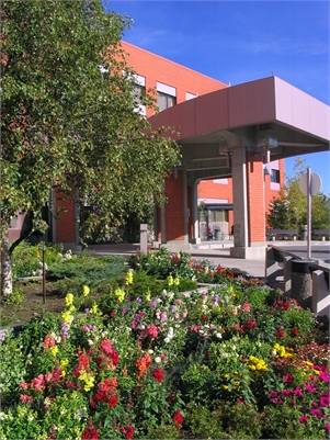 Extra Photo 5 for Otolaryngologist - Yellowknife, Northwest Territories | Permanent & Locum | Bring a guest! 